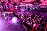 DJ Ignites Packed Crowd at Wobbleland 2026