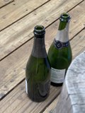 Champagne Cheers in the Forest