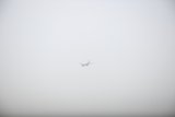 Flight in the Fog