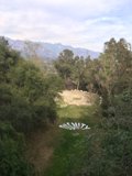 Serene Wilderness