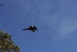 Soaring Between Skies: The Spectacle of Fleet Week, 2023