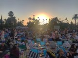 Summer Concert on the Beach