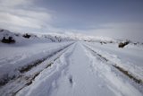 Winter Wonderland Drive