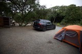 Luxury SUV Camping Getaway Among Coastal Trees