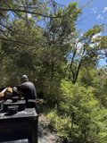 Journey Through Nature's Canvas