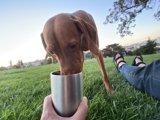 Canine Coffee Break