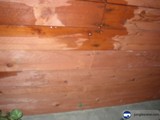 Water-Damaged Wooden Wall