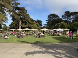 Sunny Afternoon at the Botanical Gardens