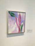 Floral Art in a Modern Frame