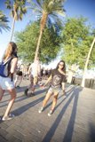 Palm Tree Paradise