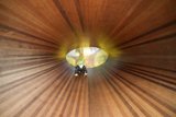 Symphony of Wood and Light