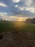 Sunset Serenade