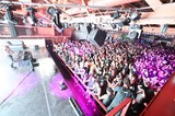 Massive Crowd Erupts at Wobbleland 2026 Festival
