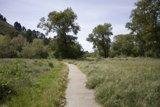 Tranquil Trails of Palo Corona