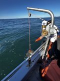 Fishing on the Open Waters