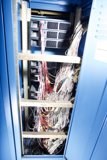 Wired for Success