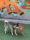 Graffiti Playtime