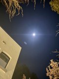 Celestial Night in Guerneville