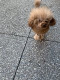 Strolling the Streets