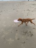 Sandy Fun