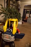 Joyful Journey to Christmas With Wesley