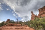 Red Rocks and Trees under a Moody Sky