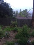 Backyard Tranquility