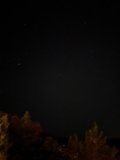 Starry Night in Coconino National Forest
