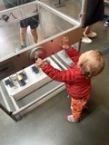 Little Explorer's Curiosity