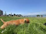 “Laid-Back in San Francisco”