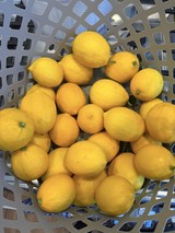 Fresh Lemons in White Plastic Basket