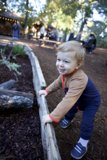 Adventurous Exploration in Thistlewyck