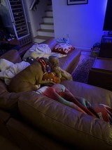 Peaceful Morning Sleep on Living Room Sofa
