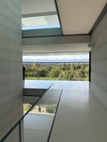 Modern Elegance at Apple Park