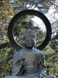 The Serenity of Buddha