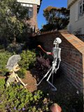 Skeleton and Dog on the Garden Path