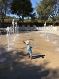 Joyful Splash in the Sun