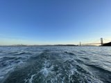 Golden Horizon