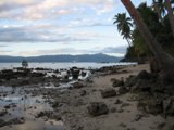 Paradise Found