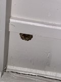 Hidden Trouble