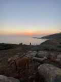 Rocky Sunset with Canine Companion