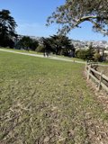 Serenity in the Park