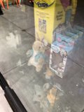 Window Display