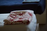 Cozy and Chic Bedspread