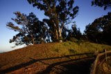 Serenity on the Hill