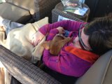 Cozy Afternoon with My Furry Friend