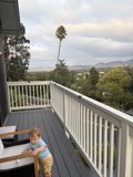 Balcony Adventures
