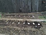 Serene Garden Fence