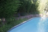 The Perfect Getaway