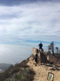 Capturing the Wilderness